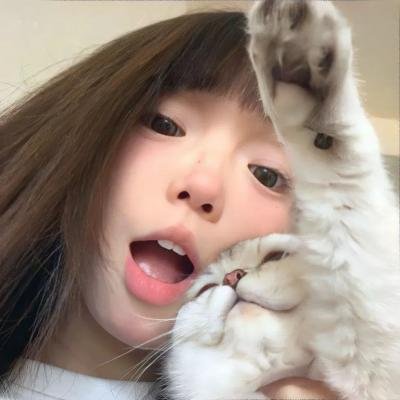 哈莉·奎茵第二季