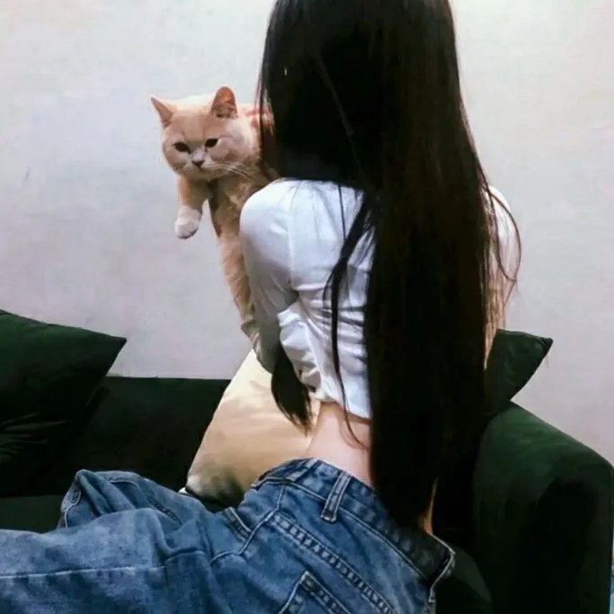 班尼•希尔的最佳